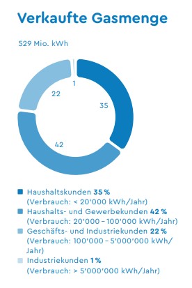 WWZ, Aufteilung Gasabsatz 2021